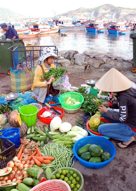 Trí Nguyên - Đảo xanh thanh bình ảnh 2