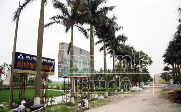 Hà Nội: Tàu hỏa đâm chết người, kéo lê hơn 30 mét ảnh 6