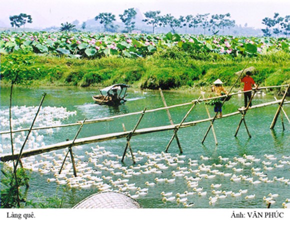 Điểm hẹn của người yêu nhiếp ảnh Hà Nội ảnh 10