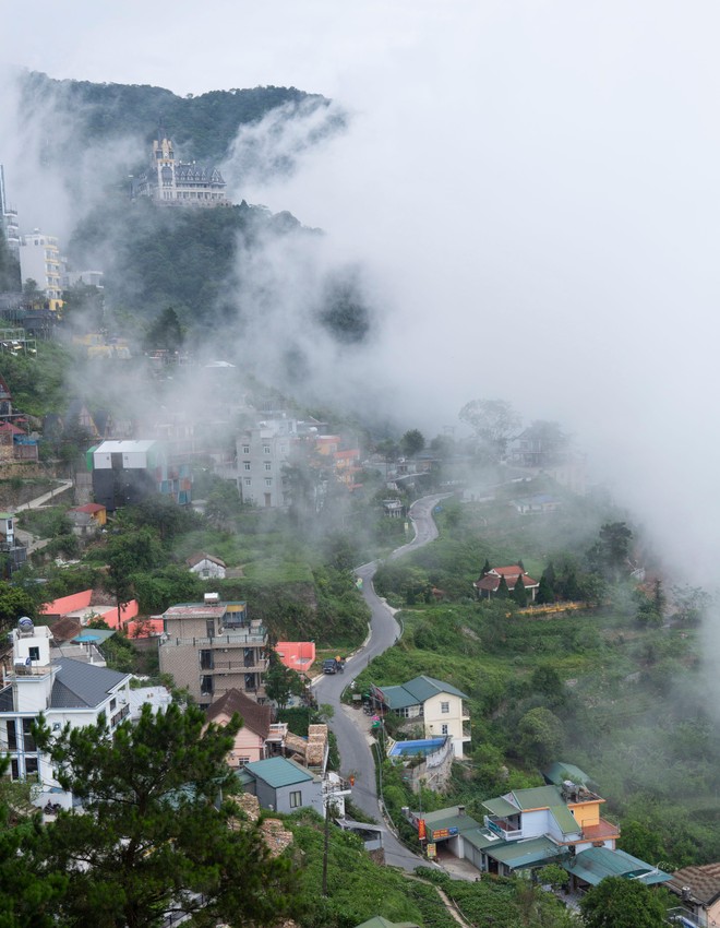 Đến Tam Đảo những ngày mờ sương, thả trôi tâm hồn vào sự thư thái ảnh 1