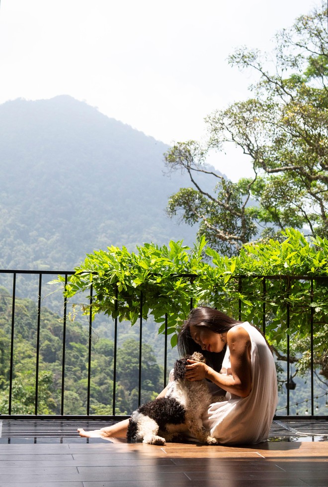 Đến Tam Đảo những ngày mờ sương, thả trôi tâm hồn vào sự thư thái ảnh 10
