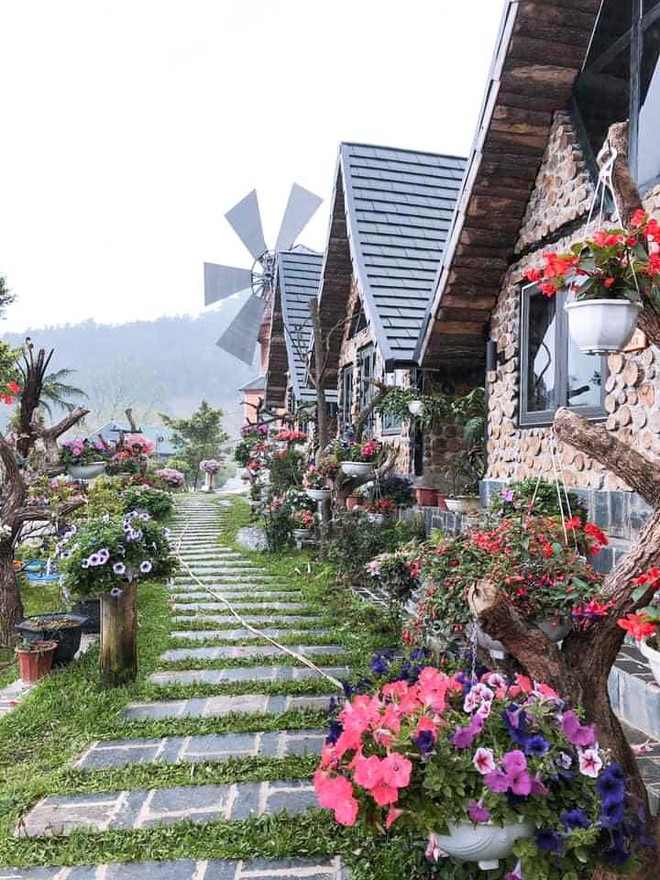 Đến Tam Đảo những ngày mờ sương, thả trôi tâm hồn vào sự thư thái ảnh 12