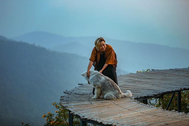 Đến Tam Đảo những ngày mờ sương, thả trôi tâm hồn vào sự thư thái ảnh 3