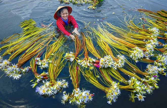 Từ cô giáo thành nhà nhiếp ảnh, lưu dấu những khoảnh khắc Việt Nam đẹp dung dị, chân thật ảnh 7