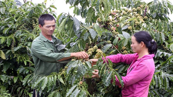 Xuất khẩu tăng nhưng chưa hết lo ảnh 1