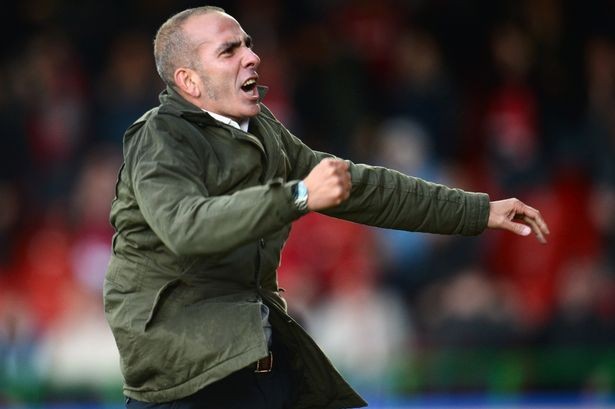 Đội bóng Sunderland chào đón "người mới" ảnh 1