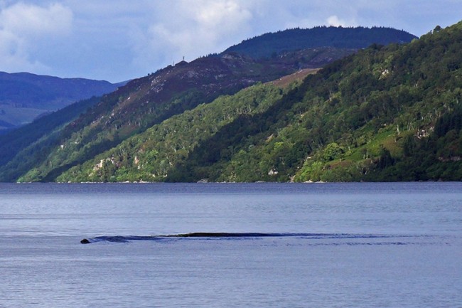 Bằng chứng mới về sự tồn tại của quái vật hồ Loch Ness? ảnh 1