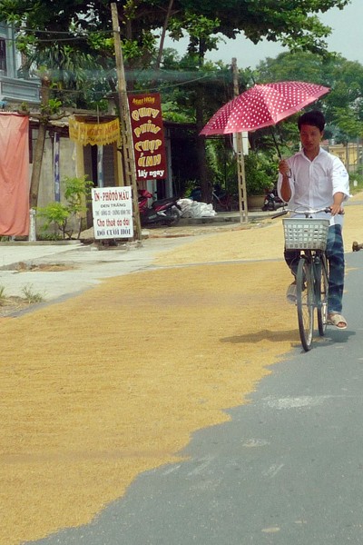 Con đường rơm nguy hiểm ảnh 11