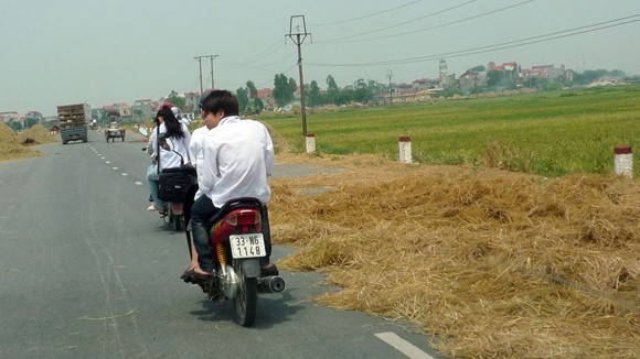Con đường rơm nguy hiểm ảnh 5