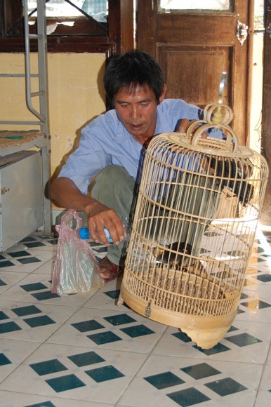 10 chim sáo "tiếp sức" giấc mơ thi đại học ảnh 1