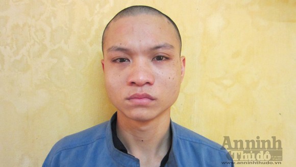 Mang lệnh truy nã vì thu tiền bảo kê người bán cây cảnh ảnh 1