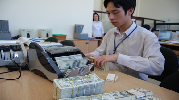 Thị trường tiền tệ diễn biến ổn định ảnh 1