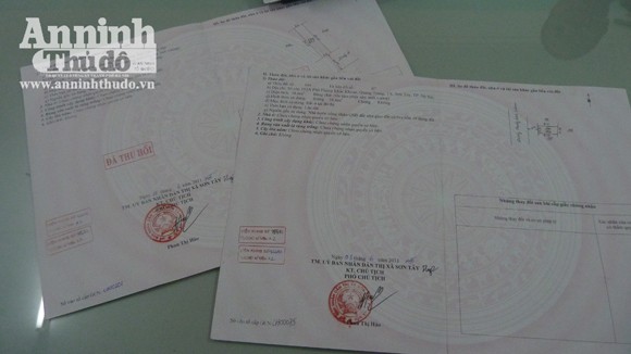 Nữ cán bộ Phòng TN-MT làm giả chữ ký, chiếm đoạt tài sản ảnh 3