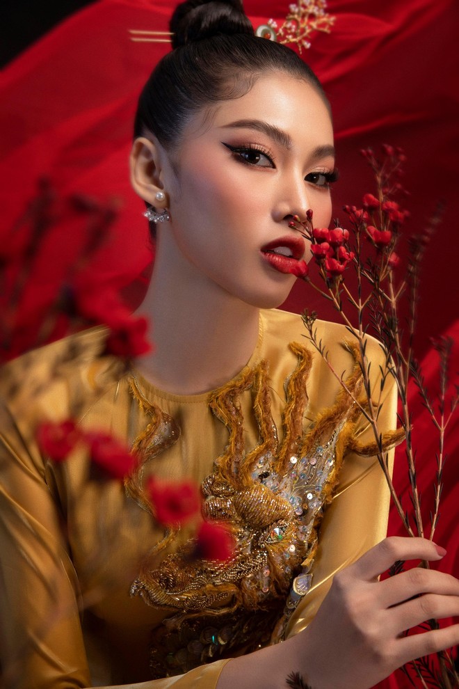 Đại diện nhan sắc Việt mặc trang phục "Lá ngọc cành vàng" đi thi quốc tế ảnh 4