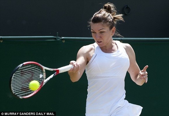 10 khám phá thú vị về loạt trận bán kết đơn nữ Wimbledon 2014 ảnh 3