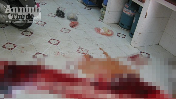 Giết người do tranh chấp nhà cửa ảnh 2