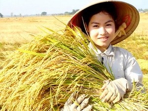 Đại biểu của 40 quốc gia dự Hội nghị FAO ở Hà Nội ảnh 1