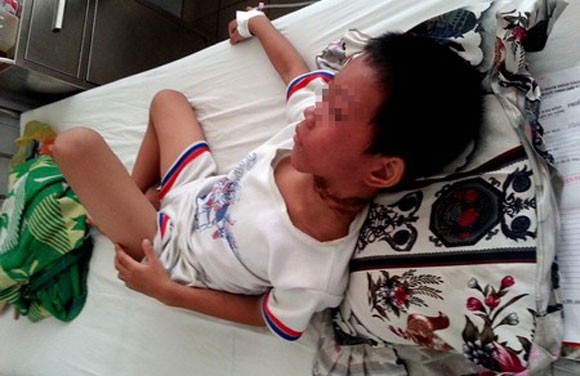 Hận tình mẹ, muốn đoạt mạng con ảnh 2