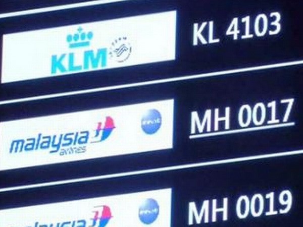 Chuyến bay MH17 cuối cùng của Malaysia Airlines hạ cánh an toàn ảnh 1
