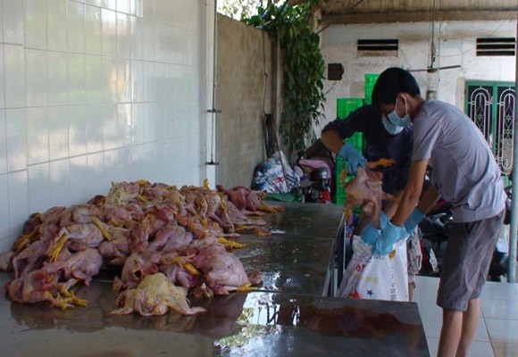Sắp tết, thực phẩm bẩn liên tục tuồn về thành phố ảnh 1