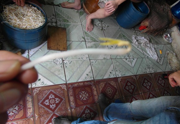 Phát hiện cơ sở sản xuất giá bằng hóa chất và đỗ xanh Trung Quốc ảnh 2