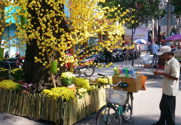 Xuân về, ông đồ xuống phố ảnh 16