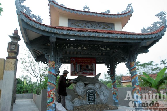Lạ kỳ cá heo chầu Miếu Đỏ mang dòng chữ lạ trên mình ảnh 5