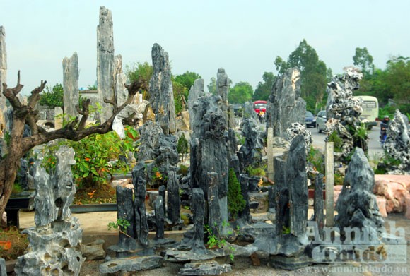“Phù phép” biến đá nhỏ thành đại thạch kiểng ảnh 10