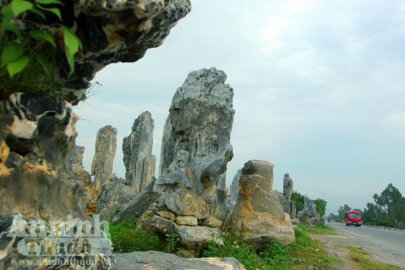 “Phù phép” biến đá nhỏ thành đại thạch kiểng ảnh 7