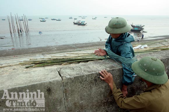 Dựng làng trên biển ảnh 5