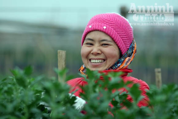 "Tôi được tặng cả cánh đồng hoa bao la" ảnh 5