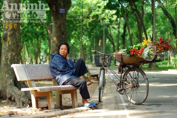 "Tôi được tặng cả cánh đồng hoa bao la" ảnh 12