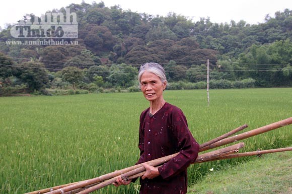 Bà già bắt kẻ cắp trong vườn cò ảnh 4