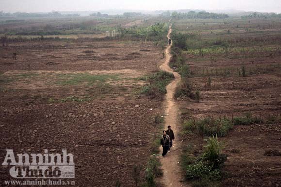 Nơi những chàng “Adam” trở về cõi thực bên sông Hồng ảnh 4