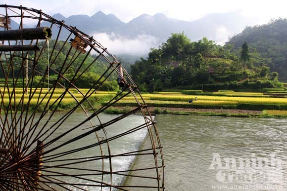 Gạt cơn “bão trắng” ảnh 12