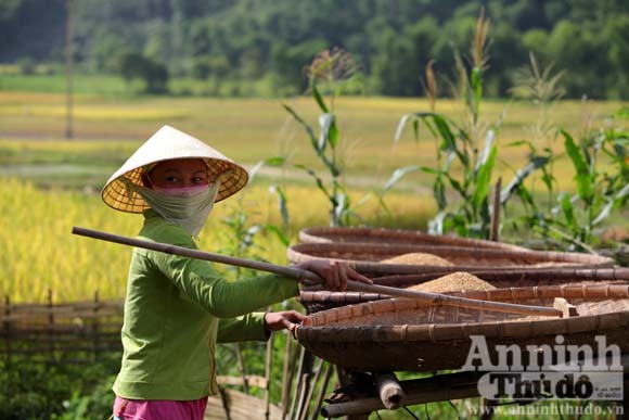 Gạt cơn “bão trắng” ảnh 3