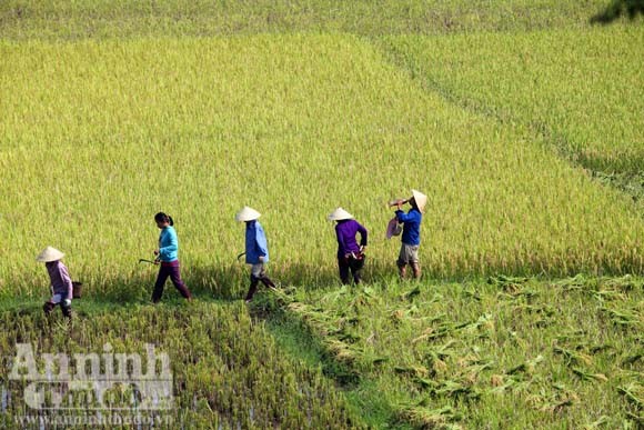 Gạt cơn “bão trắng” ảnh 13