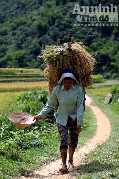 Gạt cơn “bão trắng” ảnh 5