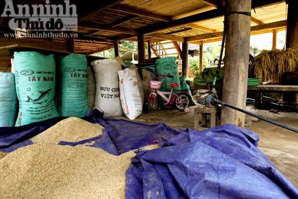 Gạt cơn “bão trắng” ảnh 8