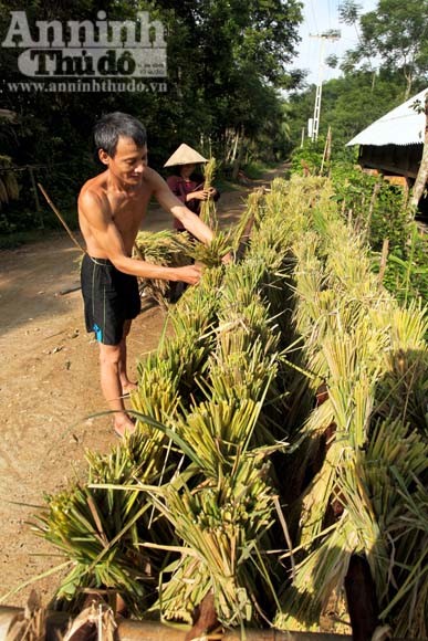 Gạt cơn “bão trắng” ảnh 9