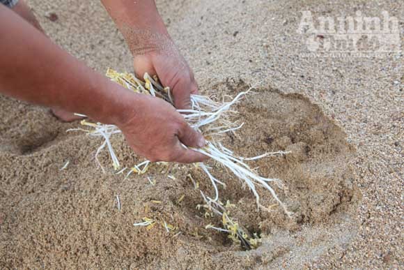 Gieo mầm sống trên triền cát ảnh 12