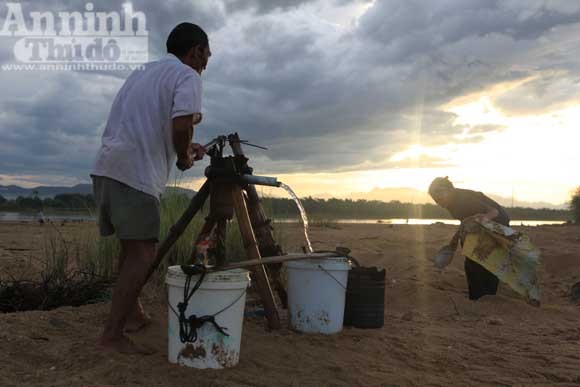Gieo mầm sống trên triền cát ảnh 10