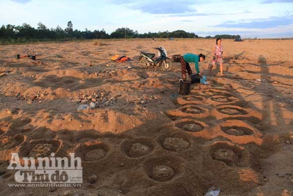 Gieo mầm sống trên triền cát ảnh 9