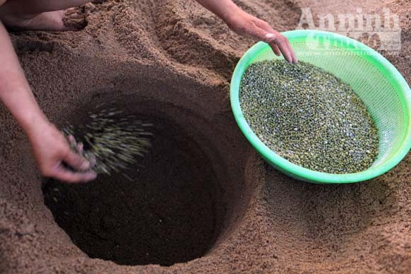 Gieo mầm sống trên triền cát ảnh 6