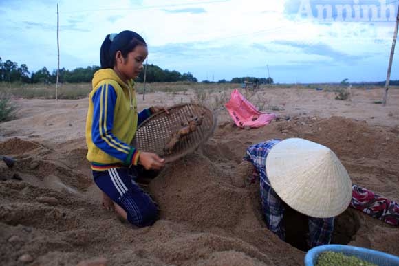 Gieo mầm sống trên triền cát ảnh 5