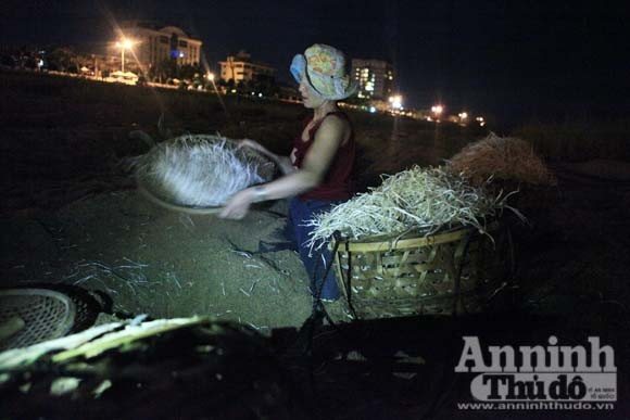 Gieo mầm sống trên triền cát ảnh 3