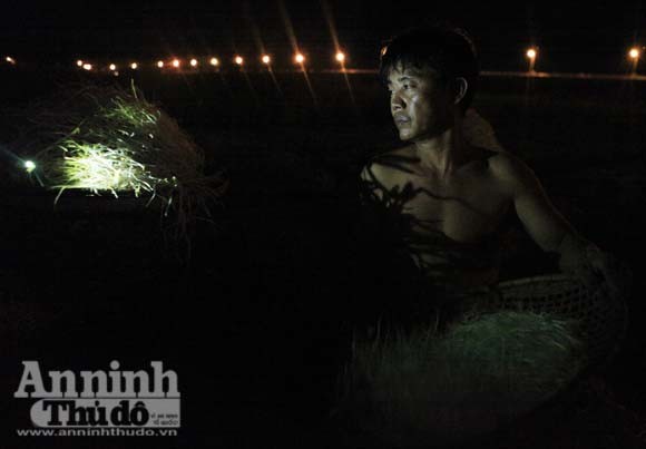 Gieo mầm sống trên triền cát ảnh 1