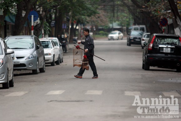 Nâng mức thu phí vỉa hè, lề đường ảnh 1