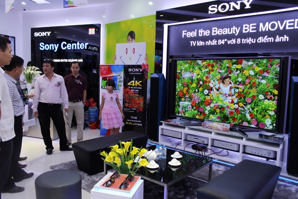 Mục sở thị chiếc TV đắt nhất Việt Nam ảnh 2