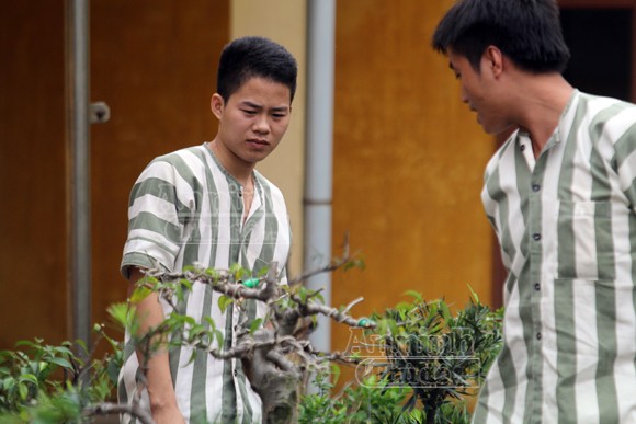 Gột rửa lỗi lầm trong quãng thời gian ở sau song sắt ảnh 10
